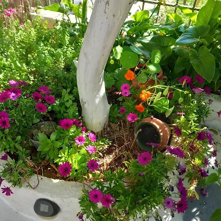 Country house Poros In Garden Poros Town